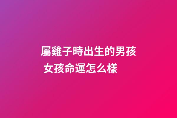 屬雞子時出生的男孩 女孩命運怎么樣